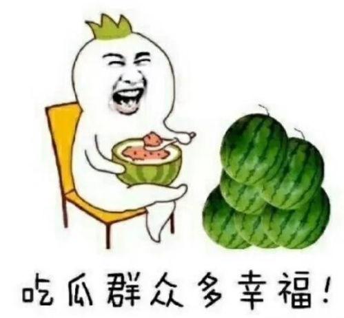 娱乐吃两瓜,娱乐吃两瓜，笑料横生乐翻天
