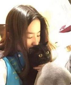 娱乐圈吃瓜刘亦菲微博