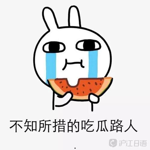 娱乐圈吧吃瓜,揭秘明星幕后故事,吃瓜群众狂欢盛宴